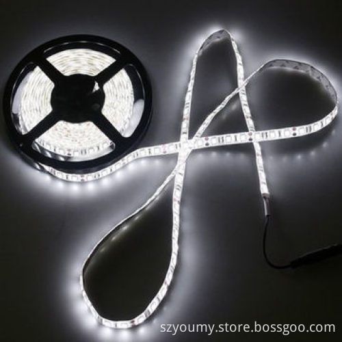 Factory supply SMD 5050 LED flexible strip lights with DC plugs